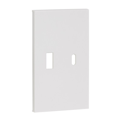Usb+type c наклодкой 2--ух модульная цвет-белый матовый MEITON AW12C Usb+type c наклодкой 2--ух модульная цвет-белый матовый MEITON AW12C