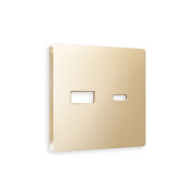 AP6110 Лицевая панель ALFA (Шампань) для розетки 2USB тип A+C QUANT