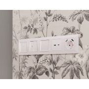 AP2110 Лицевая панель ALFA (Жемчуг) для розетки 2USB тип A+C QUANT