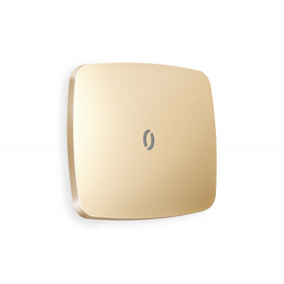 OP6020 Лицевая панель OMEGA (Шампань) для 1-кл выключателей с подсветкой QUANT OP6020 Лицевая панель OMEGA (Шампань) для 1-кл выключателей с подсветкой QUANT