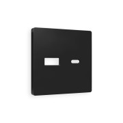 AP8110 Лицевая панель ALFA (Черный матовый) для розетки 2USB тип A+C QUANT