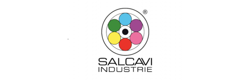 Ретро электрика Salcavi: особенности, отличия и каталог