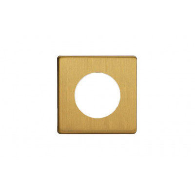 Рамка на 1 пост гор/верт, цвет Brushed Brass (матовая латунь) Рамка на 1 пост гор/верт, цвет Brushed Brass (матовая латунь)