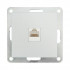 Розетка компьютерная (RJ45 Cat.5E) LK80, с накладкой, серебристый металлик Розетка компьютерная (RJ45 Cat.5E) LK80, с накладкой, серебристый металлик