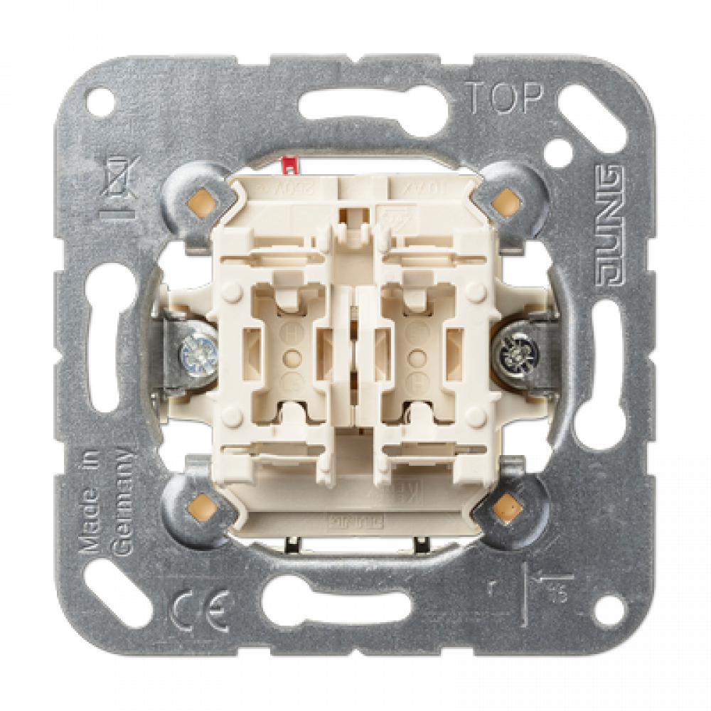Механизм кнопки. Jung выключатель 10ax 250v. Выключатель 10ax 250v сдвоенный. Кнопка без фиксации двухклавишный. Двухклавишная кнопка без фиксации Legrand.