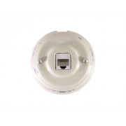 Компьютерная розетка RJ-45 , серебристые колпачки, цвет: белый с росписью fiori viola (синие цветы)