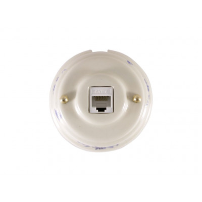 Компьютерная розетка RJ-45 , золотистые колпачки, цвет: белый с росписью fiori viola (синие цветы) Компьютерная розетка RJ-45 , золотистые колпачки, цвет: белый с росписью fiori viola (синие цветы)